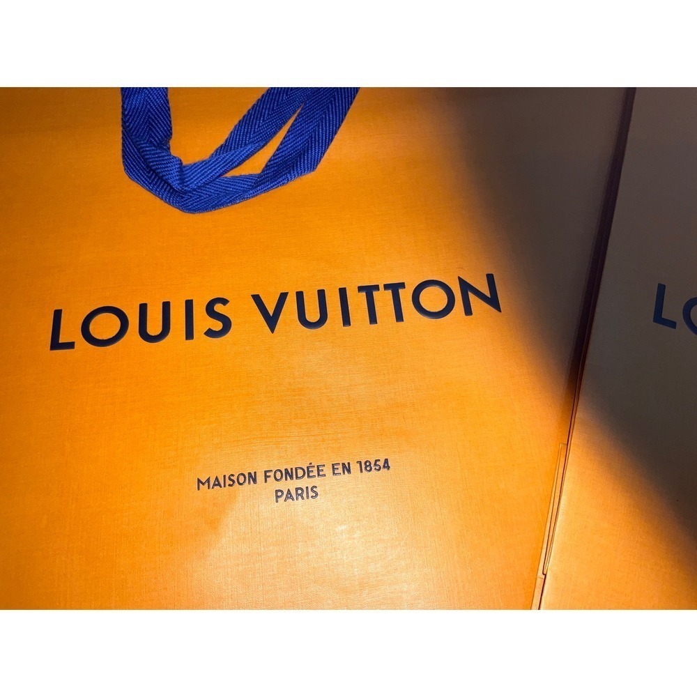 Louis Vuitton Shopping Gift Bags - Picture 3 of 8